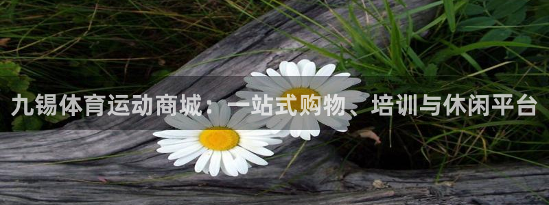 意昂5Kgame集团官网