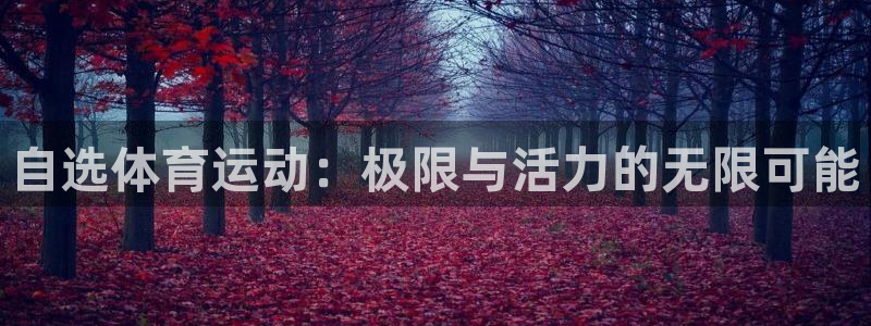德国意昂5Kgame集团