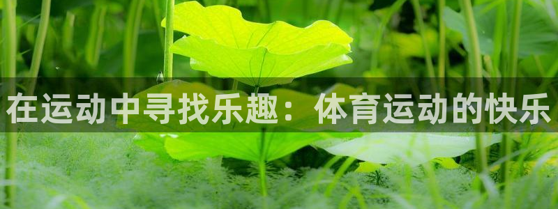 意昂5Kgame体育和杏耀是哪个公司的