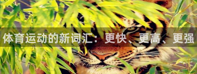 意昂5Kgame体育论坛