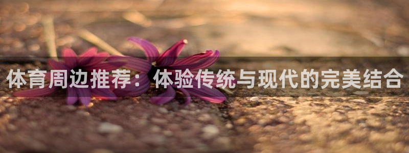 意昂5Kgame电子有限公司