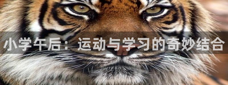 意昂5Kgame体育注册代理