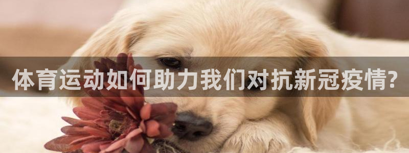 意昂5Kgame股份