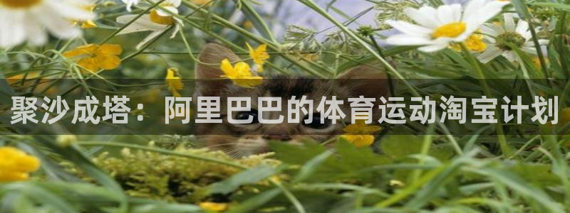 意昂5Kgame体育在线注册