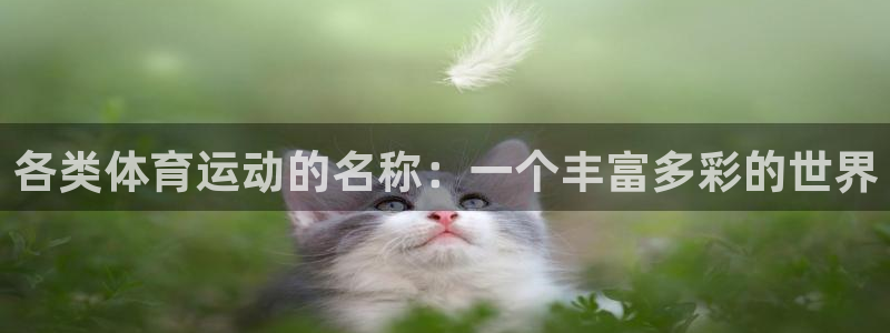 意昂5Kgame3平台注册