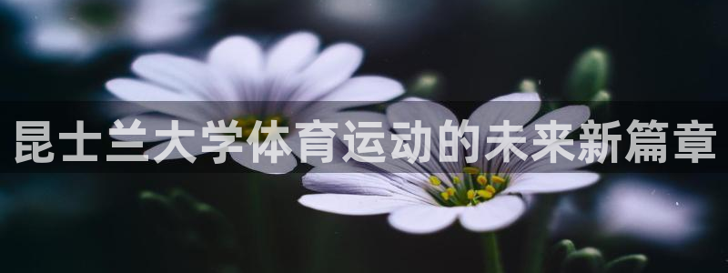 意昂5Kgame体育凯捷平台主管