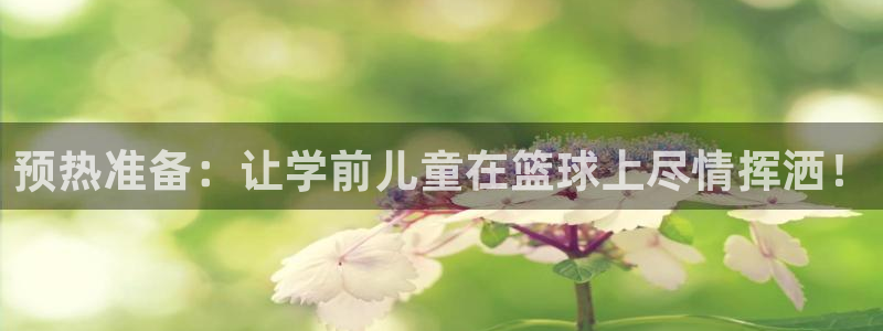 意昂5Kgame体育凯捷平台主管