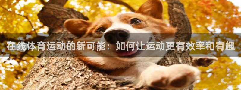 意昂5Kgame4官网