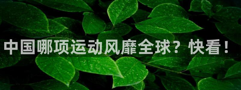 意昂5Kgame体育注册