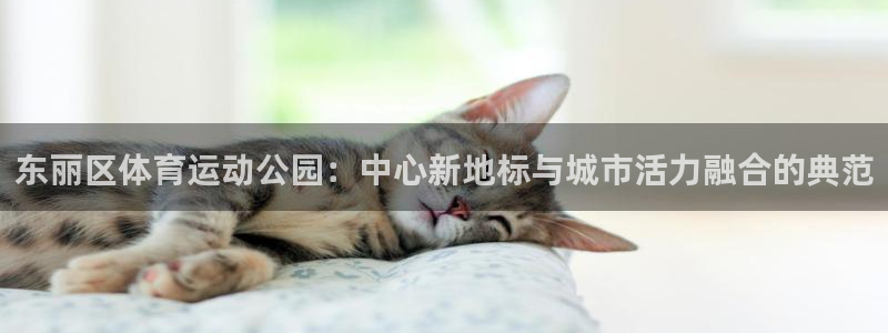 意昂5Kgame3官网
