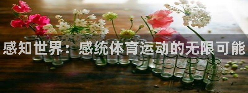意昂5Kgame体育凯捷平台注册