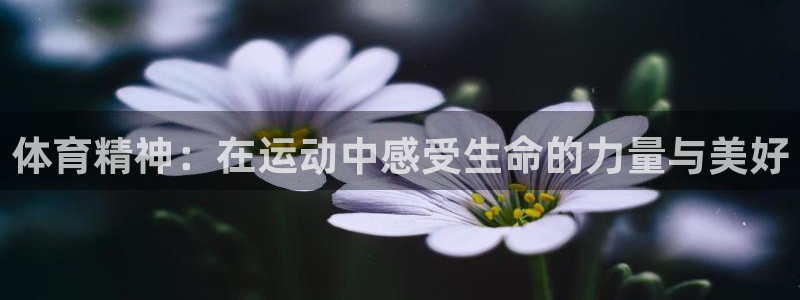 意昂5Kgame集团总部